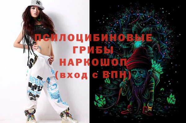 герыч Медногорск
