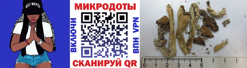 Купить закладки  Невельск  Псилоцибиновые грибы Psilocybe 