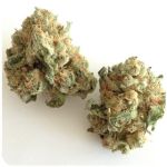 Шишки "White Widow"  (Белая вдова)  Гидропоника -  Бошка VHQ в Невельске