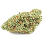 Шишки OG Kush  (Гидропоника, бошки) VHQ в Невельске